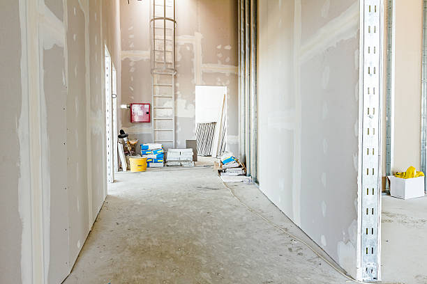 Best Water-Damaged Drywall Repair  in Blue Island, IL